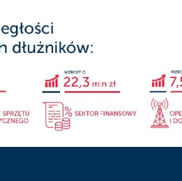 Firmy IT zalegają 127 mln zł