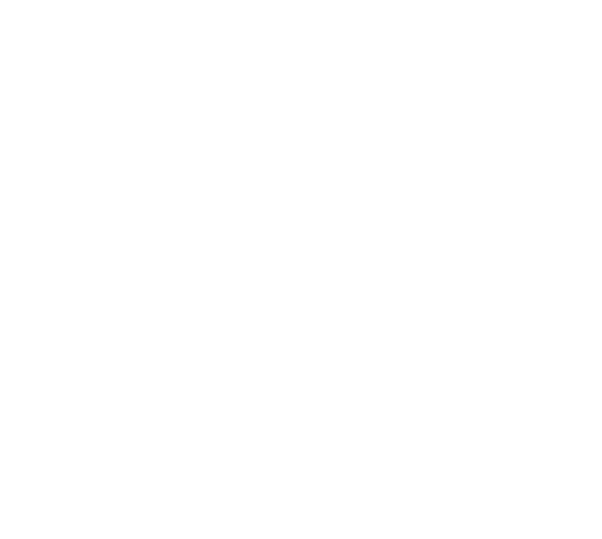 ZIG